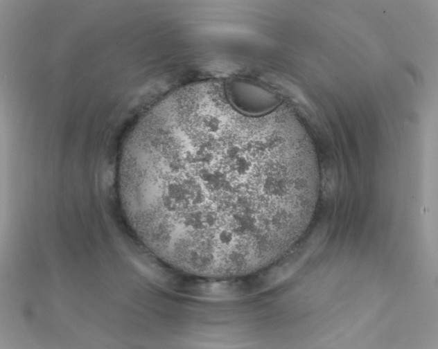 X0000112380365200909031957