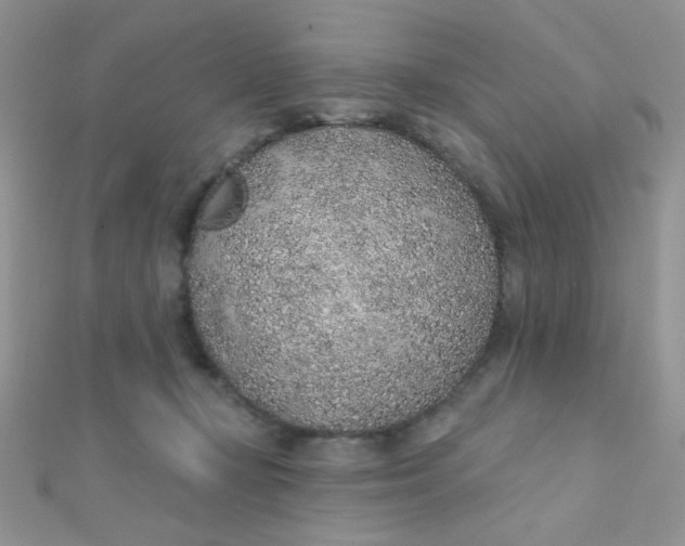 X0000112380367200909031957