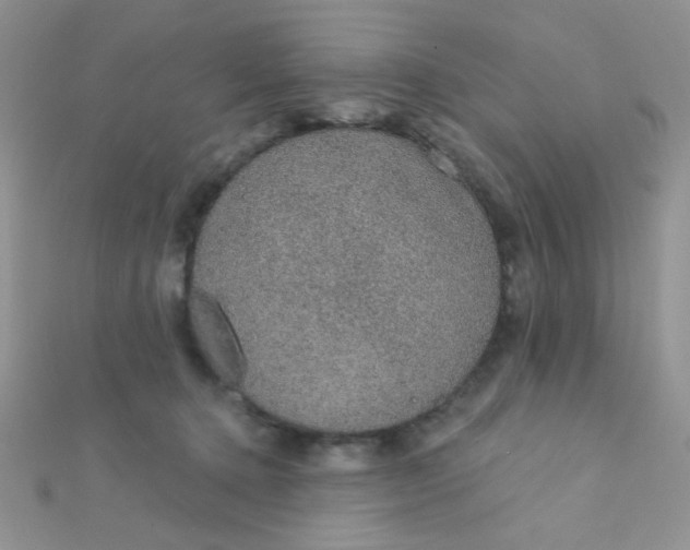 X0000112380368200909031957