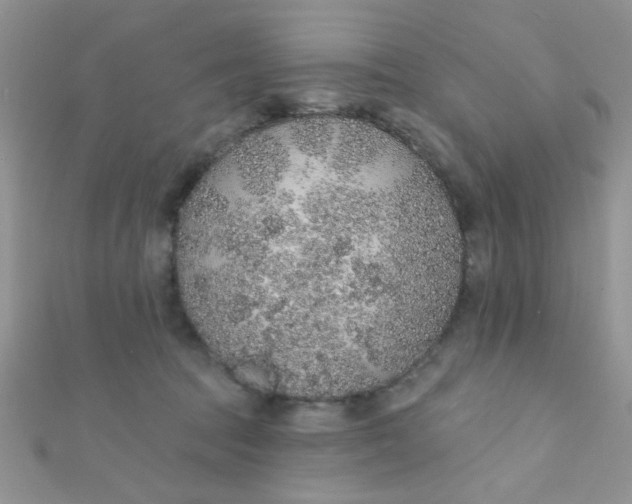 X0000112380369200909031957