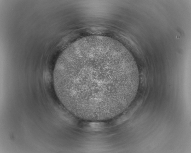 X0000112380371200909031957