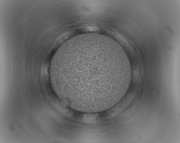 X0000112380373200909031957