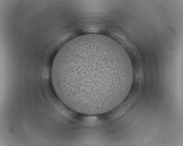 X0000112380374200909031957