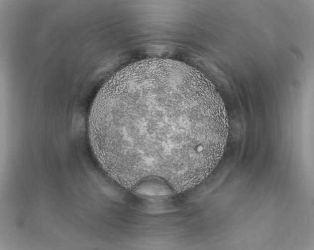 X0000112380375200909031957