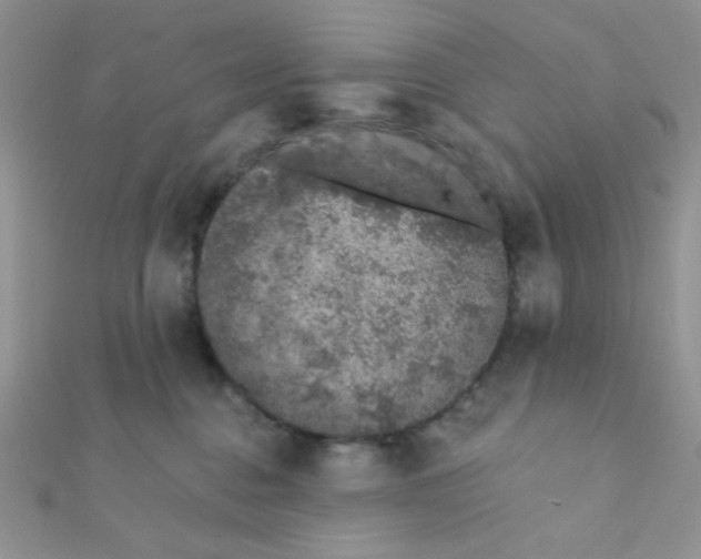 X0000112380376200909031957