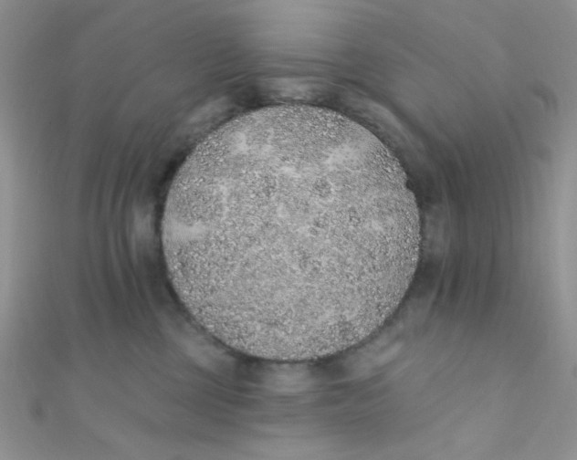 X0000112380377200909031958