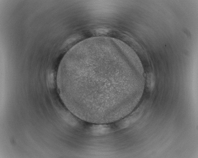 X0000112380378200909031958