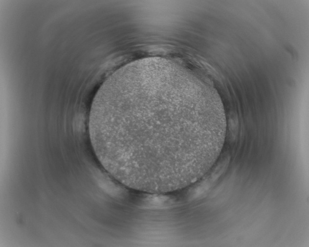 X0000112380379200909031958