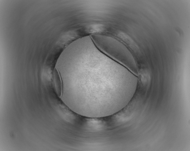 X0000112380380200909031958