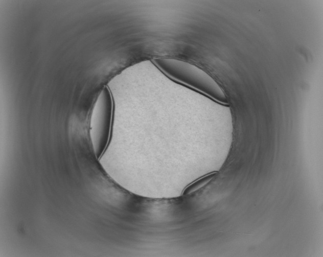 X0000112380384200909031958