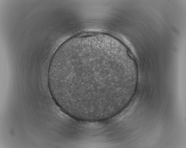 X0000112380385200909031957