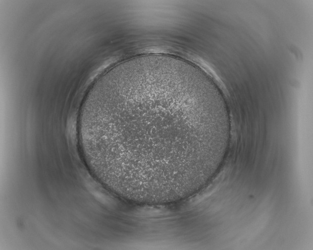 X0000112380386200909031957