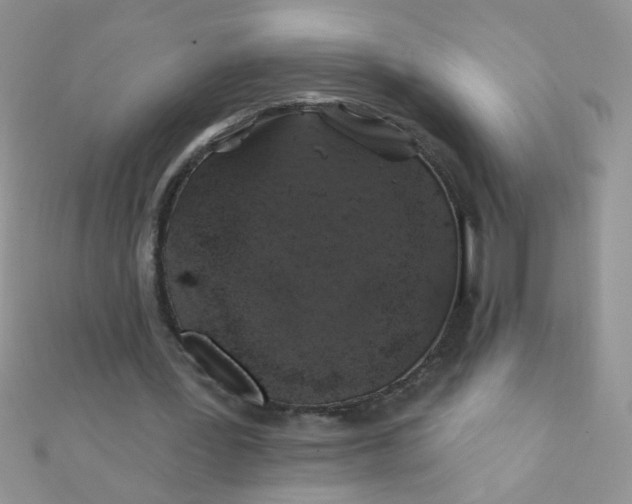 X0000112380387200909031957