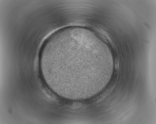 X0000112380388200909031957