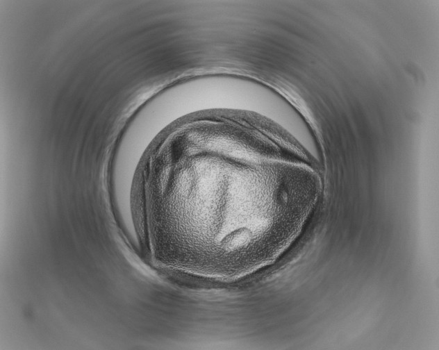 X0000112380389200909031957