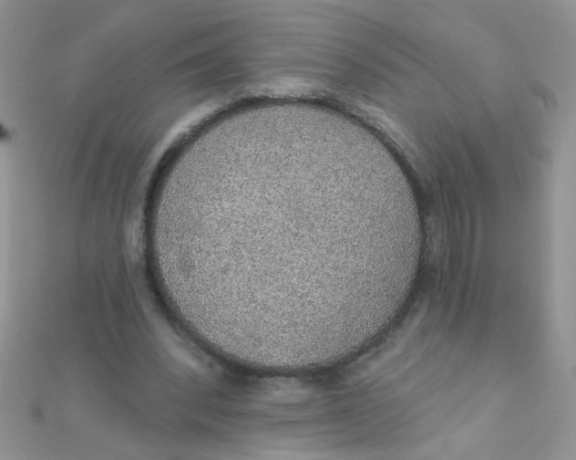 X0000112380392200909031957