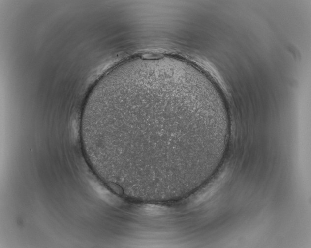 X0000112380393200909031957