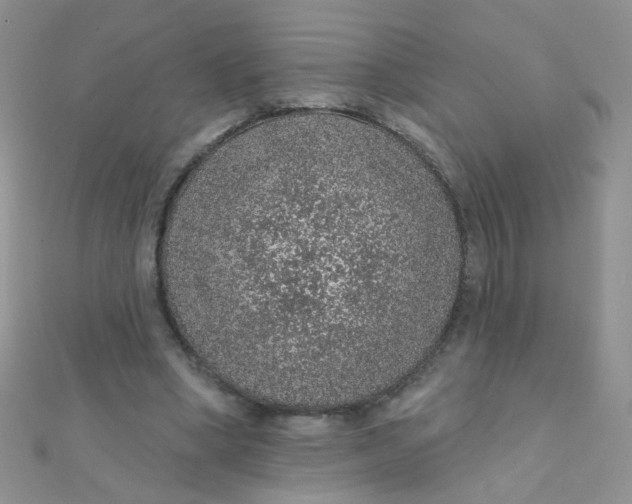 X0000112380394200909031957