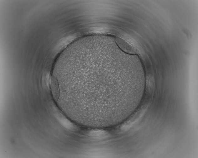 X0000112380397200909031957