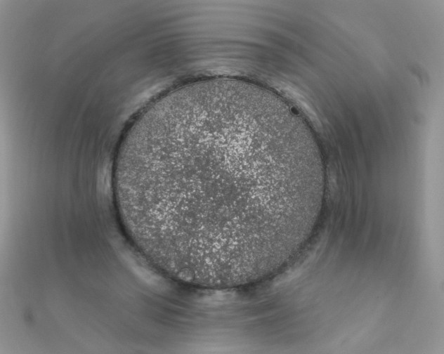 X0000112380398200909031957