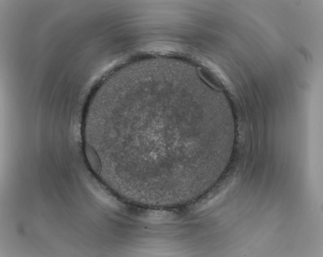 X0000112380399200909031957