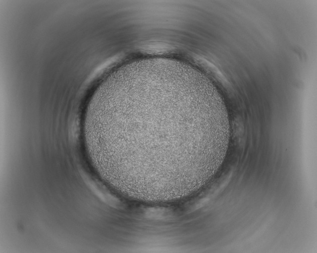 X0000112380400200909031957