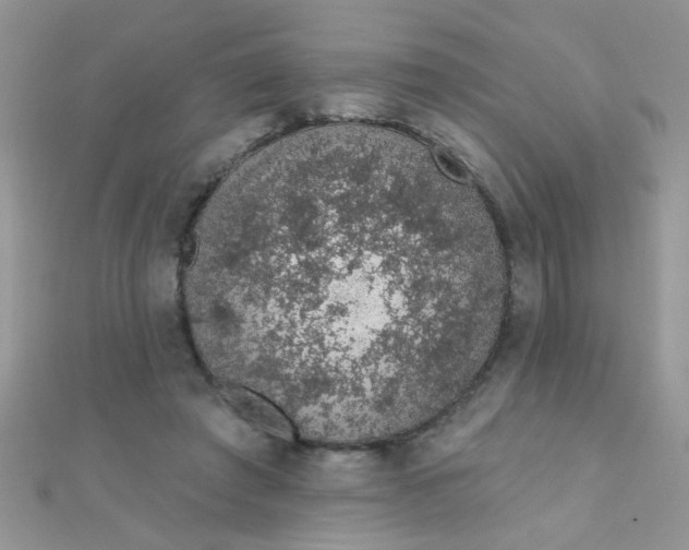 X0000112380401200909031957