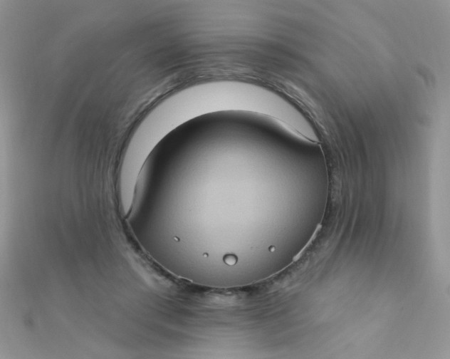 X0000112380405200909031957