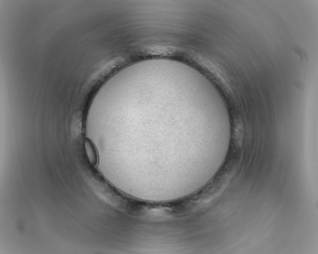 X0000112380407200909031957