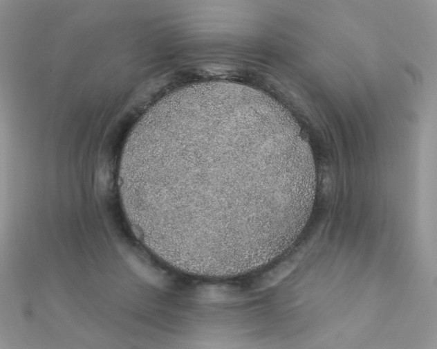 X0000112380408200909031957