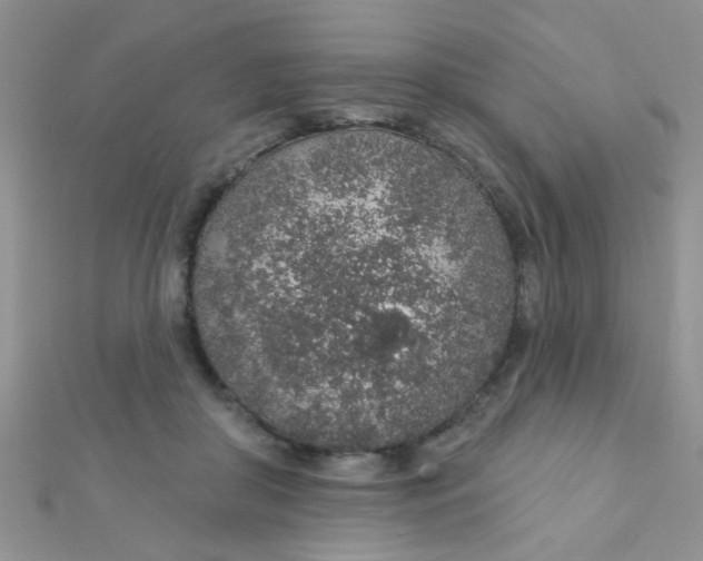 X0000112380410200909031956