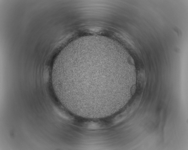 X0000112380412200909031956