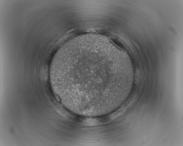 X0000112380413200909031956