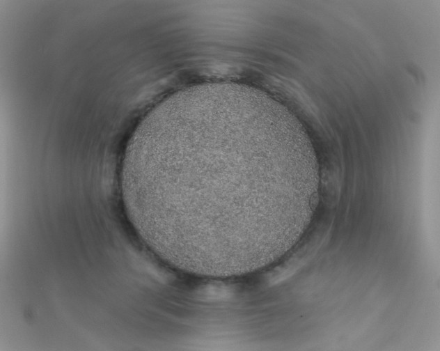 X0000112380416200909031956