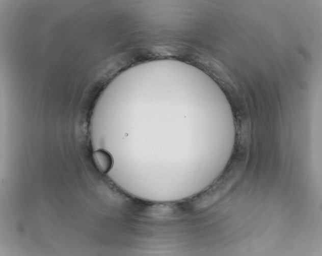 X0000112380418200909031956