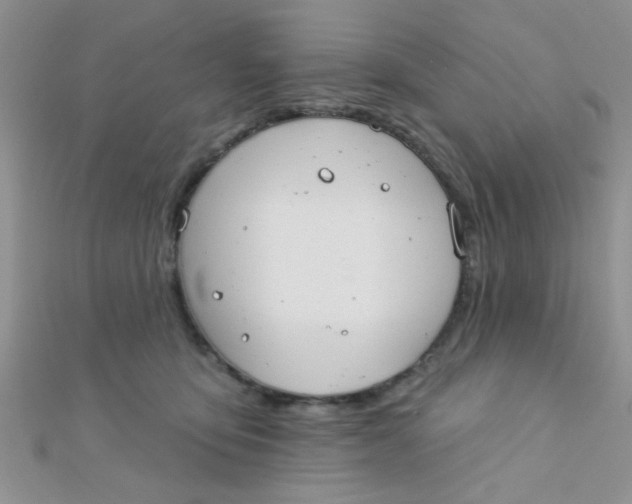 X0000112380419200909031956