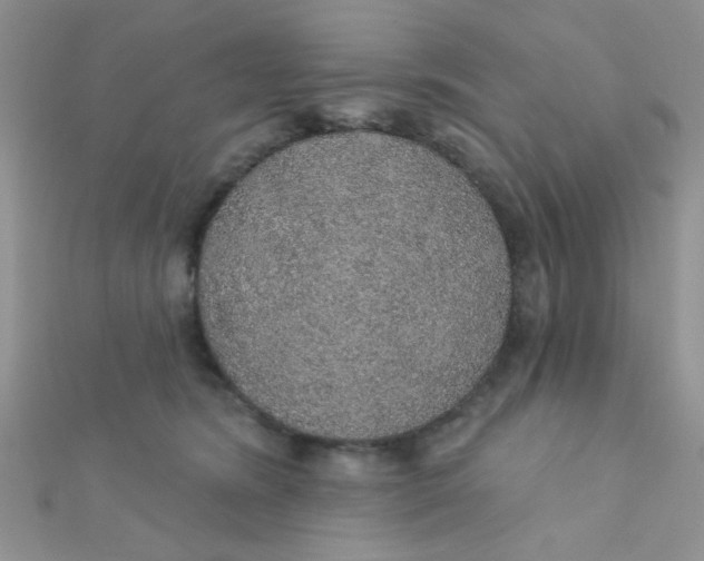 X0000112380420200909031956