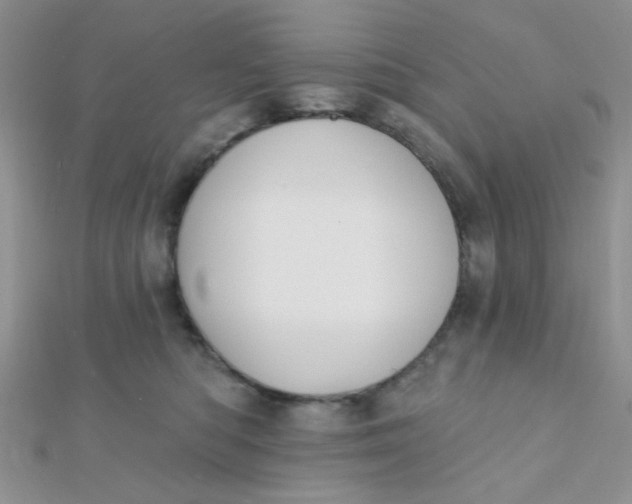 X0000112380422200909031956