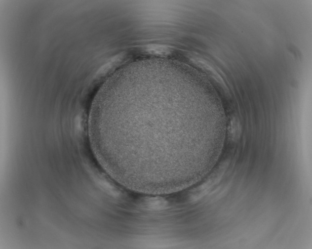 X0000112380424200909031956