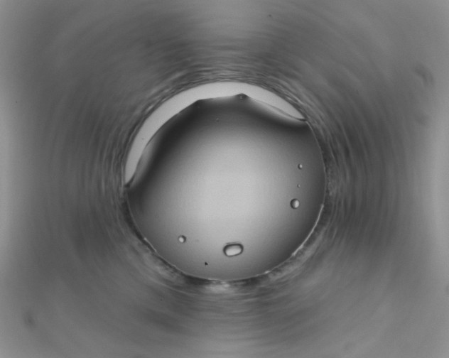 X0000112380425200909031956