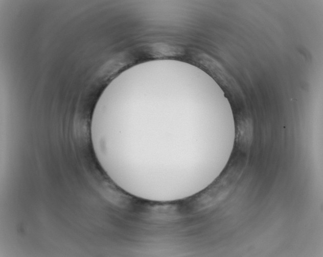 X0000112380426200909031956