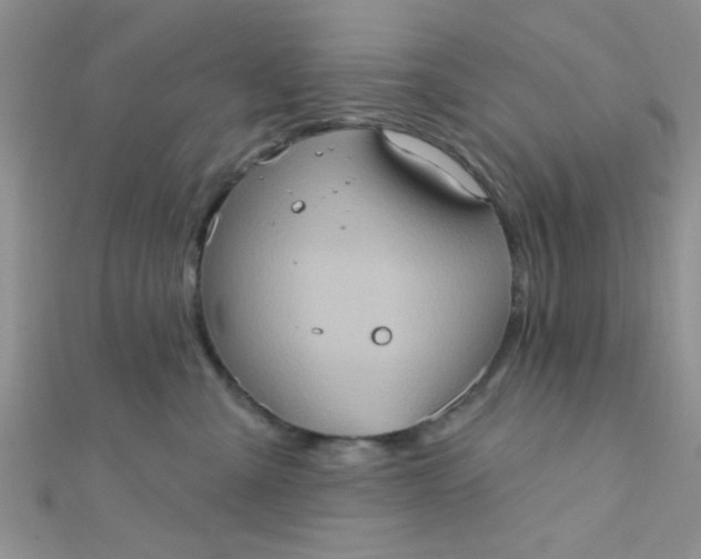 X0000112380427200909031956