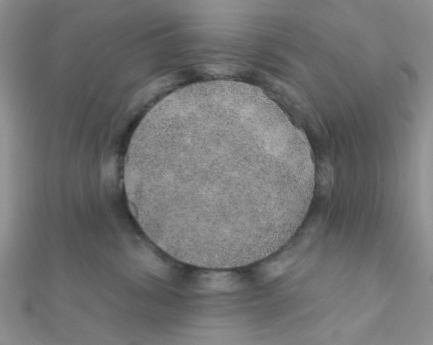 X0000112380428200909031956