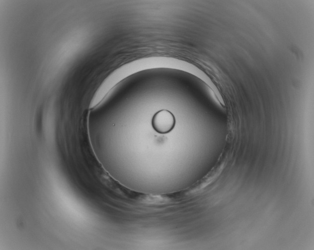 X0000112380429200909031956