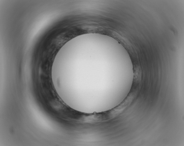 X0000112380430200909031956