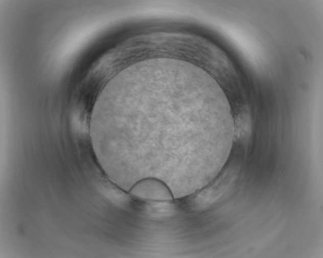 X0000112380431200909031956