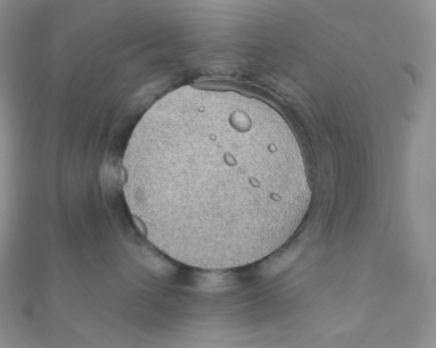 X0000112380432200909031956