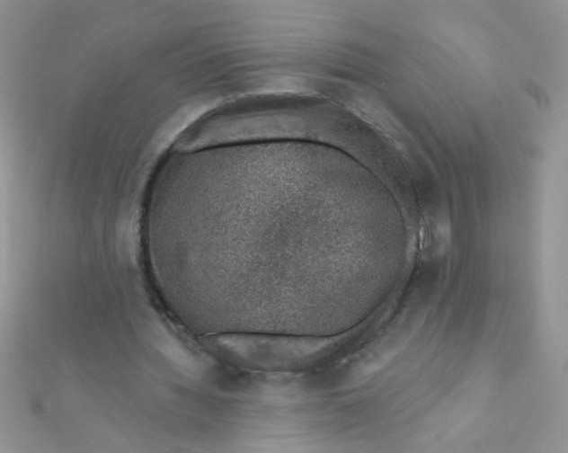 X0000112380436200909031955