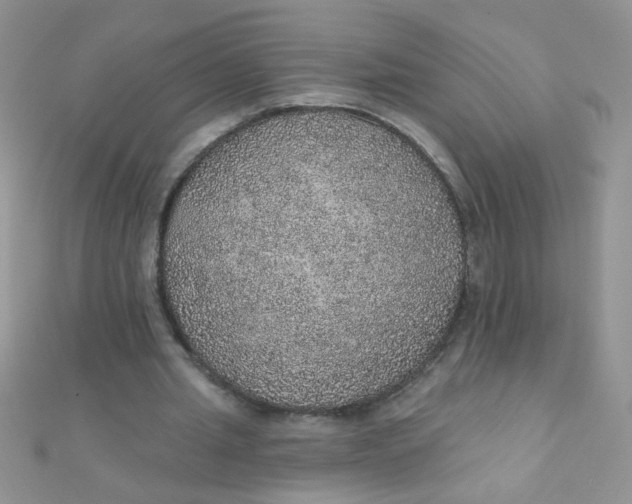 X0000112380437200909031955