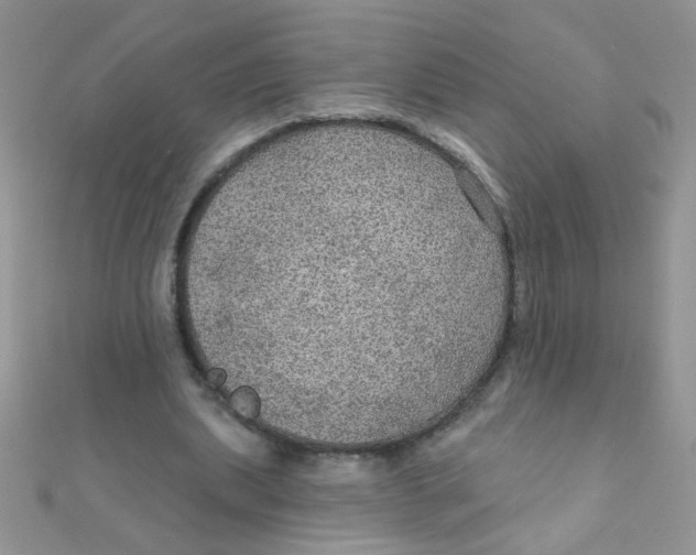 X0000112380439200909031956